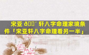 宋亚 🌴 轩八字命理家境条件「宋亚轩八字命理看另一半」